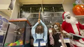 Halloween party city 2024