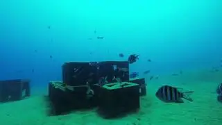 June 2016 Tennessee reef