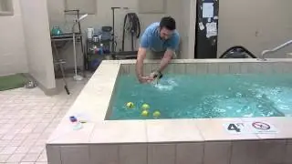 Now Boarding - Mimi's Swim Lesson