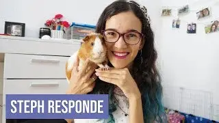 É OBRIGATÓRIO TER DOIS PORQUINHOS DA ÍNDIA? | Steph Responde #2