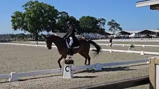 Michael Nolan & Fulio CCI 2L dressage