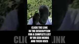 Alkaline Herbs Dr Sebi Recommends for Energy
