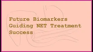 Predictive Biomarkers for NET Treatment Response: Future Directions