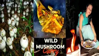 Natures Gift Coorg Wild Natural Mushrooms Curry Cooking In Traditional Woodfire & Clay Pot in Nature