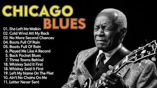 Relaxing Electric Blues | Inspired by Vintage Chicago Blues