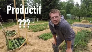 Un Potager SANS TRAVAIL DU SOL - Pr&eacute;sentation