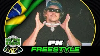 The PK 