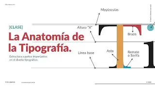 [CLASE] La Anatomía de la Tipografía