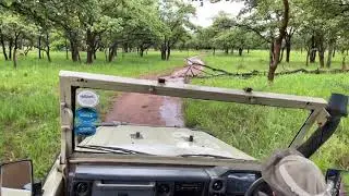Safari in Zambia, Lilayi Lodge