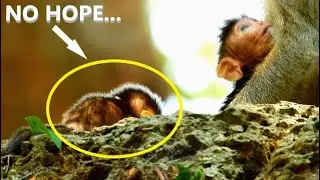[UNFORTUNATELY] #POOREST-BABY-NEWBORN...DEEPLY SAD WITH FEELING LONELY, POOR BABY NEWBORN NO MILK.