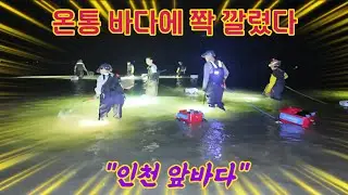 쓰나미처럼 물이 빠져나간 후 대발생에 난리난 인천바다 바닥에 가득 널렸다!