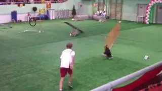 agility ind std Michael Meisel Orionka
