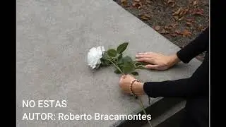 NO ESTAS