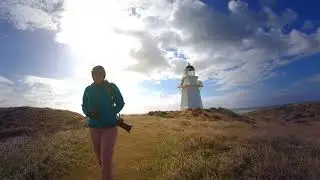 Cruising Dunedin & The Catlins