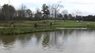 Louter Creek Hunting Poodle  