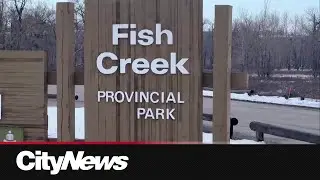 Dead man found in Fish Creek Park, Calgary