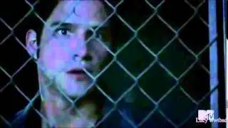 vine scott allison