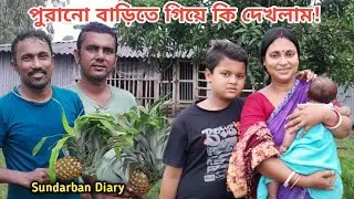 পুরানো বাড়িতে কেন গেলাম আজ প্রবল বৃষ্টির মধ্যে! Sundarban Diary