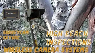 Koalas Down Under | Survey Cam | High Reach Wireless Inspections | Wireless Camera