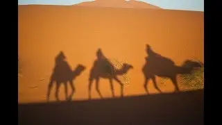 Agent 007 🐪 - Sensperience escape igra