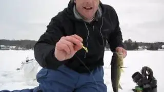 JUMBO PANFISH AND MORE (hard-water)