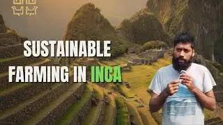 Three sisters: The Sustainable Farming Practice in Ancient Inca Civilization