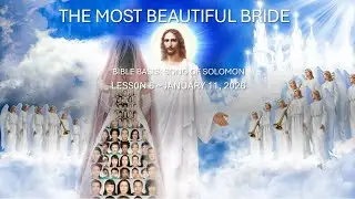 THE MOST BEAUTIFUL BRIDE