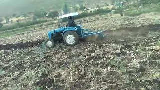Soka town agricultural development  2025