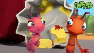 Cupcake Cream Chaos! | Antiks 🐜 | Funny Cartoons for Kids