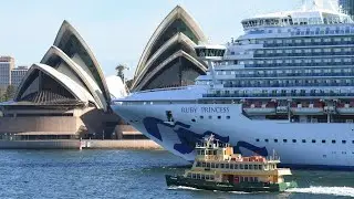 Ruby Princess inquiry continues with new witnesses