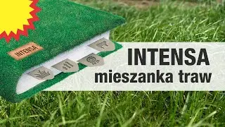 Uprawa użytków zielonych a hodowla bydła