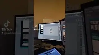 Satori Timelapse