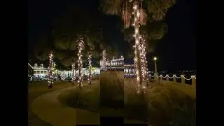Night of Lights