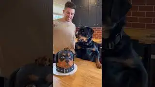 dog cake cutting prank reaction #funnyvideo #animallife #cakecutting #viralvideo #goldenretriever