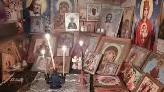 #ЗАЩИТА ВСЕМ#ОТ# ПАКОСНИКОВ#