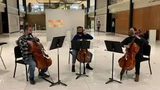 Sibelius Op. 5, Impromptu no. 6 for cello trio