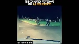 This Compilation Proves Cops Have The Best Reactions