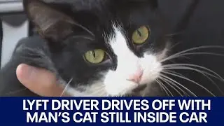 Austin man reunited with cat after Lyft driver drove off with animal still inside | FOX 7 Austin