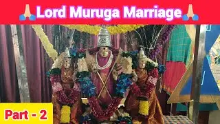 Lord Karthikeya Divine Wedding Vedic Mantras | Valli & Deivanai | முருகன் திருக்கல்யாணம்  #video 