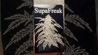 SupaFreak Custom Info Cards 🔥 Used Picture Of My Bud Outside For The Logo   #supafreak #ecgt