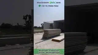 Mushroom Production Unit Complete Solution. #Mushroomfarming #mushroomfarm #Mushroomcoldroom