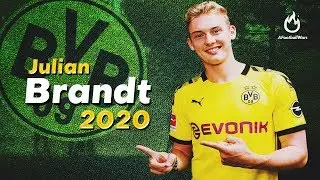 Julian Brandt - Magical Goals & Skills 2020 BVB