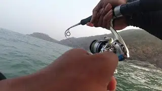Fishing in South Goa. #agondabeach #southgoa #southgoabeaches  #goa #india