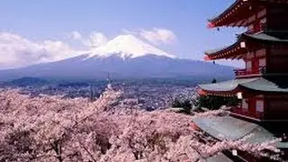 Cool Japan is amazing!!　 Japanese culture is beautiful. 【cool japan①】