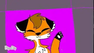 For Maxfoox!