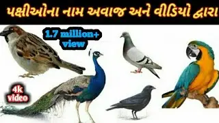 Birds name in gujarati  hosting for world and classes by me, credit to  trust
