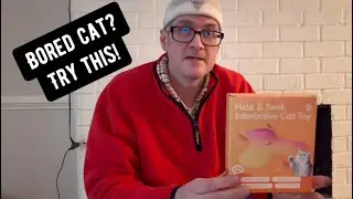 My Cat Loves This Interactive Cat Toy!