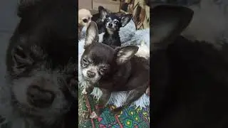 И так бывает!🤣 31 декабря 2025 г.