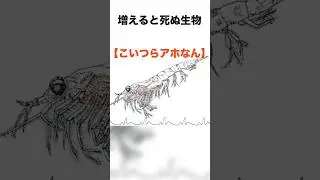 【こいつらアホか】増え過ぎて窒息するプランクトン #雑学 #エンタメ #海 #ダイビング #ダイビング #プランクトン #窒息