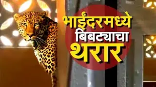 Leopard | राज्यभरात बिबट्याची दहशत,मिरा भाईंदरमध्ये तब्बल 7 तास बिबट्याचा थरार | NDTV मराठी Report
